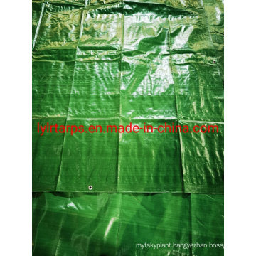 Weaving Fabric Polythylene Green PE Tarpaulin Cover